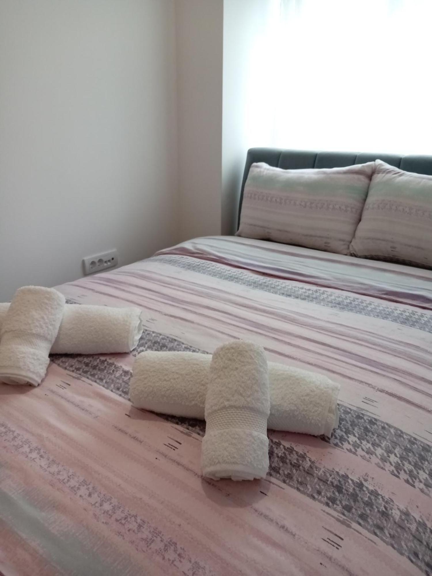 בלגרד Tera Apartment Zemun מראה חיצוני תמונה